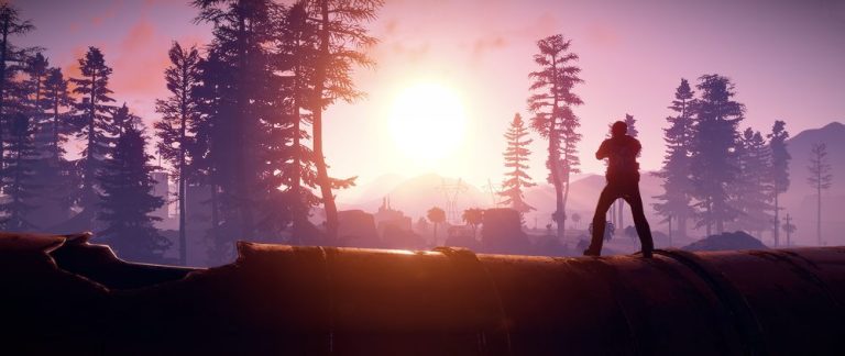 Watching the sunset in the forest.